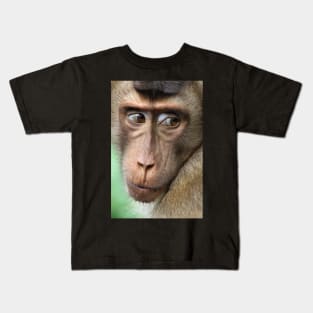 Watching Carefully. Pig-tailed Macaque Portrait. Borneo. Kids T-Shirt